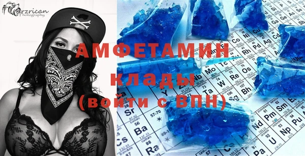 прущие грибы Нефтекумск