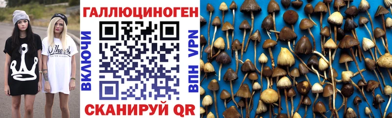 Псилоцибиновые грибы прущие грибы  Кирс 